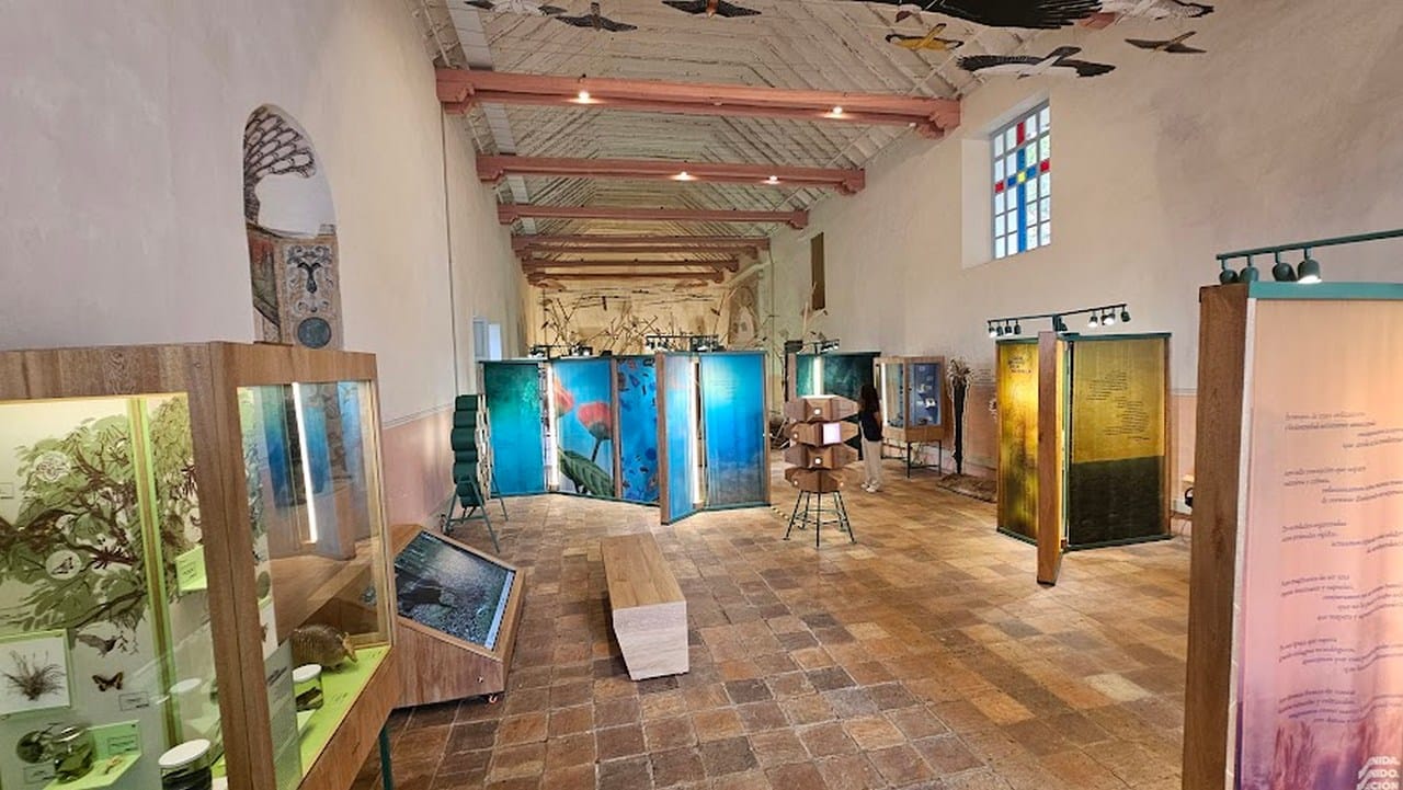 museo bioverso1 1