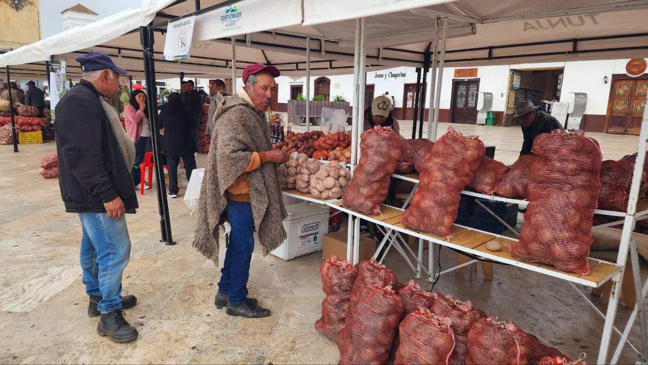 Además de la venta de papa, habrá concursos, exposición de equipos y hasta degustación de productos derivados del tubérculo, así como una jornada académica. Foto: Tuiteros Boyacá.