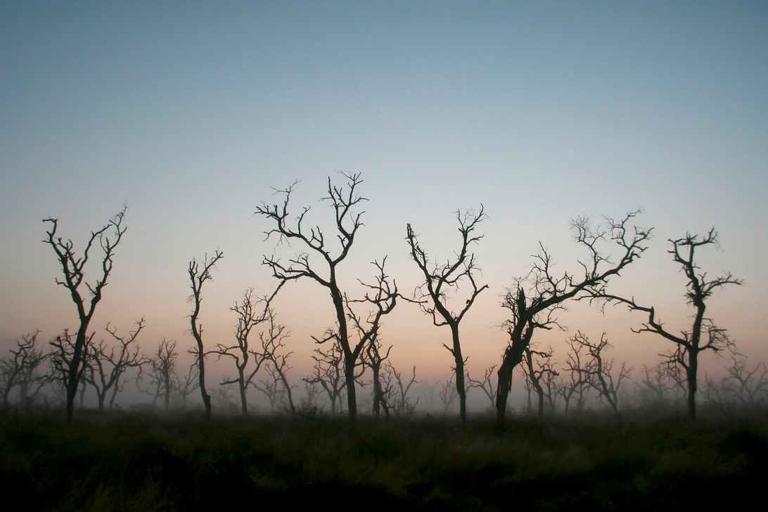 Pese a un marco normativo robusto, la falta de implementación, trazabilidad y judicialización de los delitos ambientales sigue siendo uno de los mayores retos para el país. Foto: Suministrada a Tuiteros Boyacá