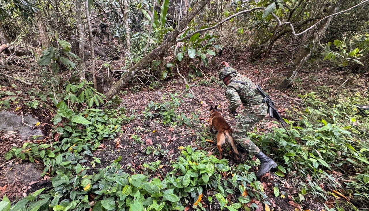 Operativo soldados Ejercito macional