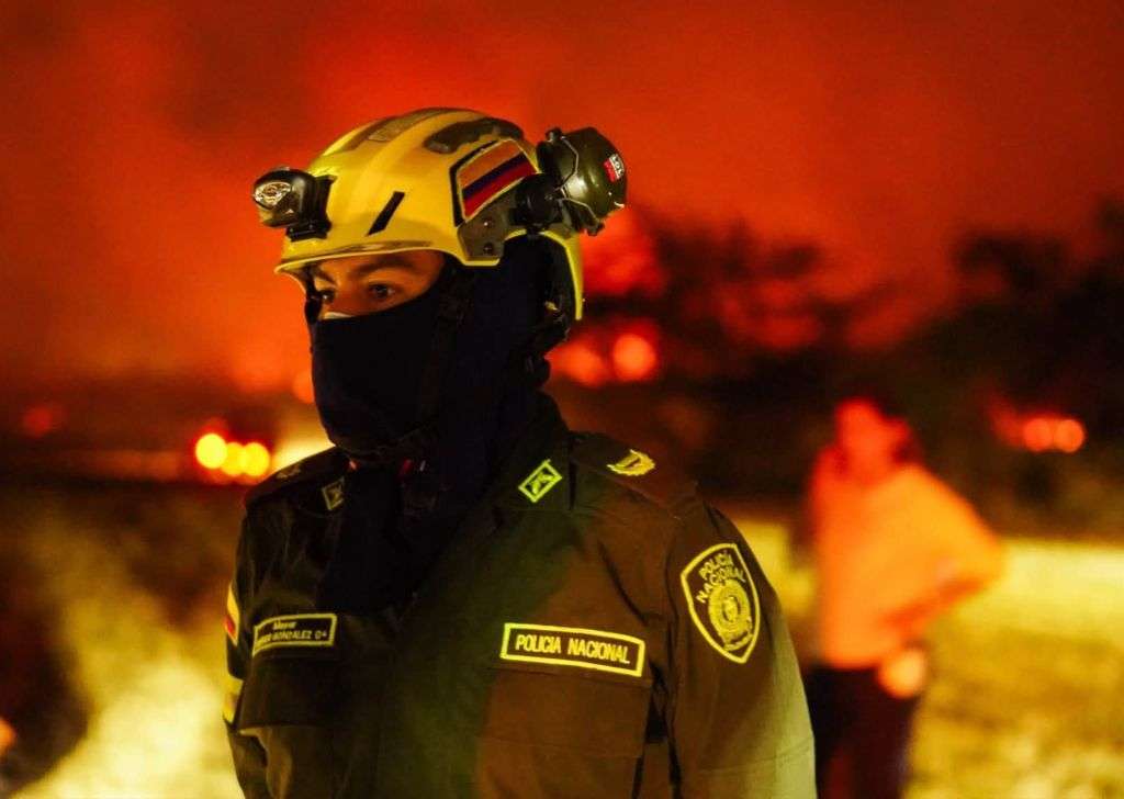 Incendios forestales pérdidas en el Tolima