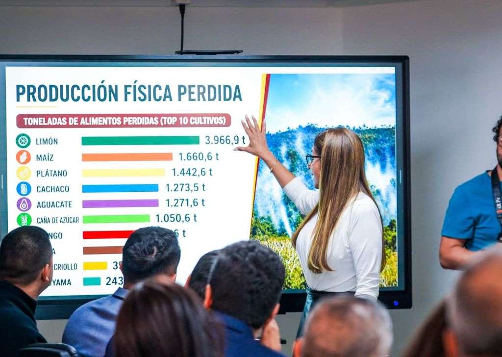 Incendios forestales pérdidas en el Tolima