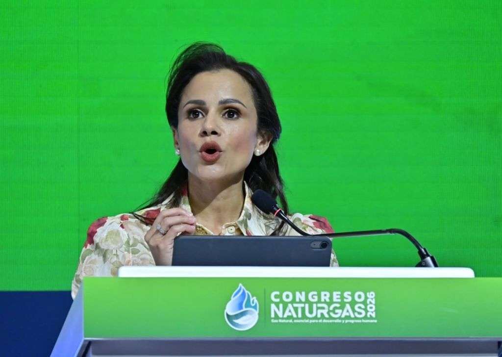 Luz Stella Murgas, presidente Naturgas