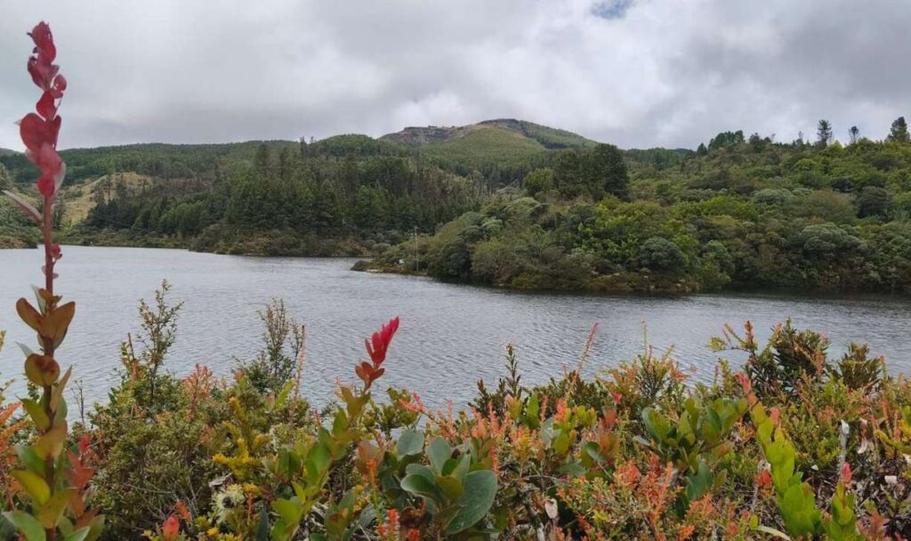 La gestión ambiental de Veolia Tunja: entrega bioindicadores identificados en el embalse Teatinos, los cuales ratifican el buen estado ecológico del páramo que abastece de agua a la capital boyacense 3 Represa de Teatinos en Samacá que abastece a Tunja