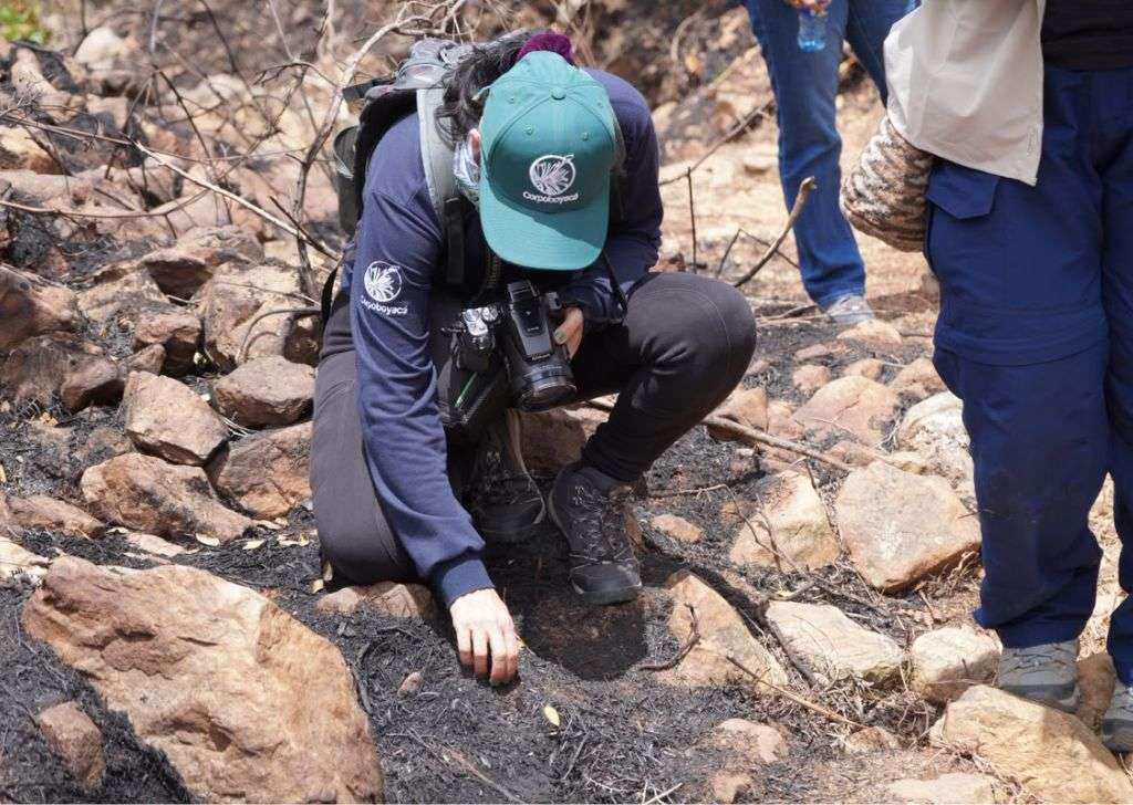 Corpoboyacá evalúa afectaciones por incendio en Villa de Leyva 