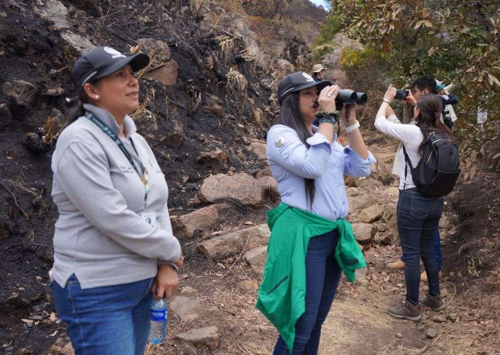 Noticias Boyacá y actualidad en Boyacá — Tuiteros Boyacá 2 Corpoboyaca evalua afectaciones por incendio en Villa de Leyva